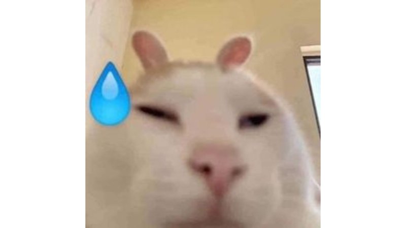 meme avatar hài hước cực chất