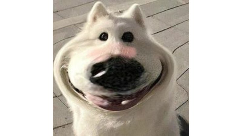 meme avatar hài hước siêu viral