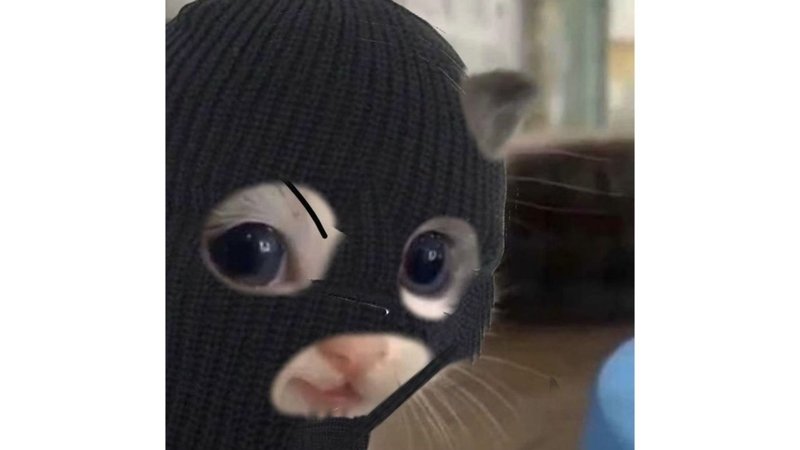 meme avatar troll bạn bè