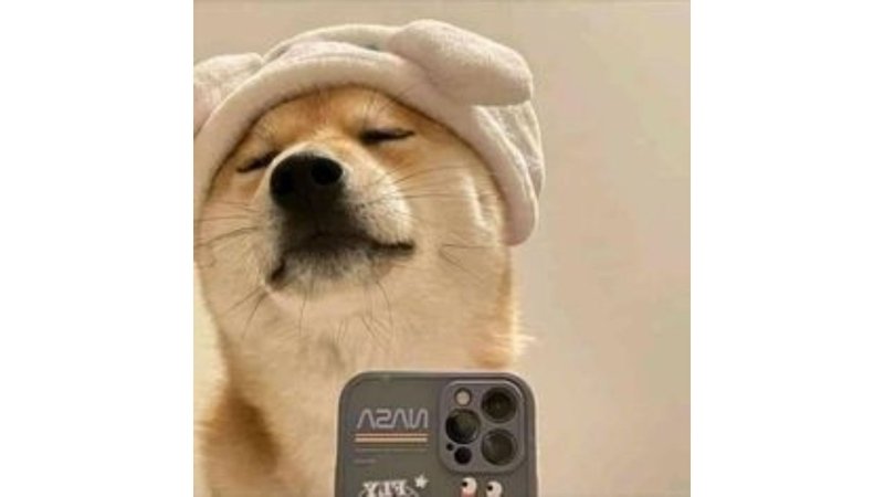 meme avatar troll nhìn là cười