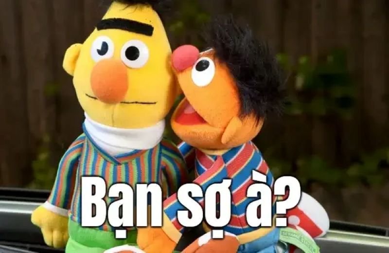 meme bạn sợ à dáng vẻ đầy thách thức