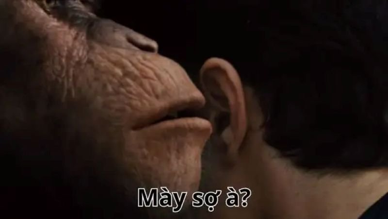 meme bạn sợ à pha cà khịa đỉnh cao