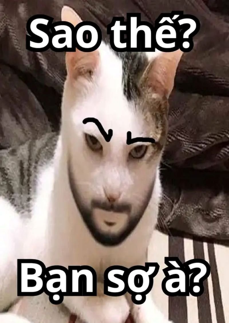 meme bạn sợ à pha đáp trả hài