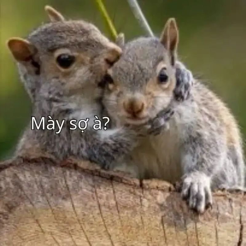 meme bạn sợ à phong cách cà khịa