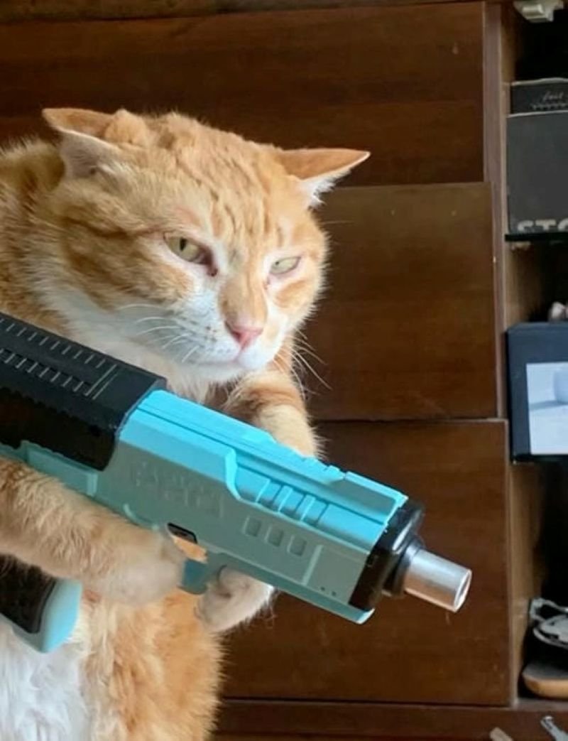 meme bắn súng biểu cảm gây sốt