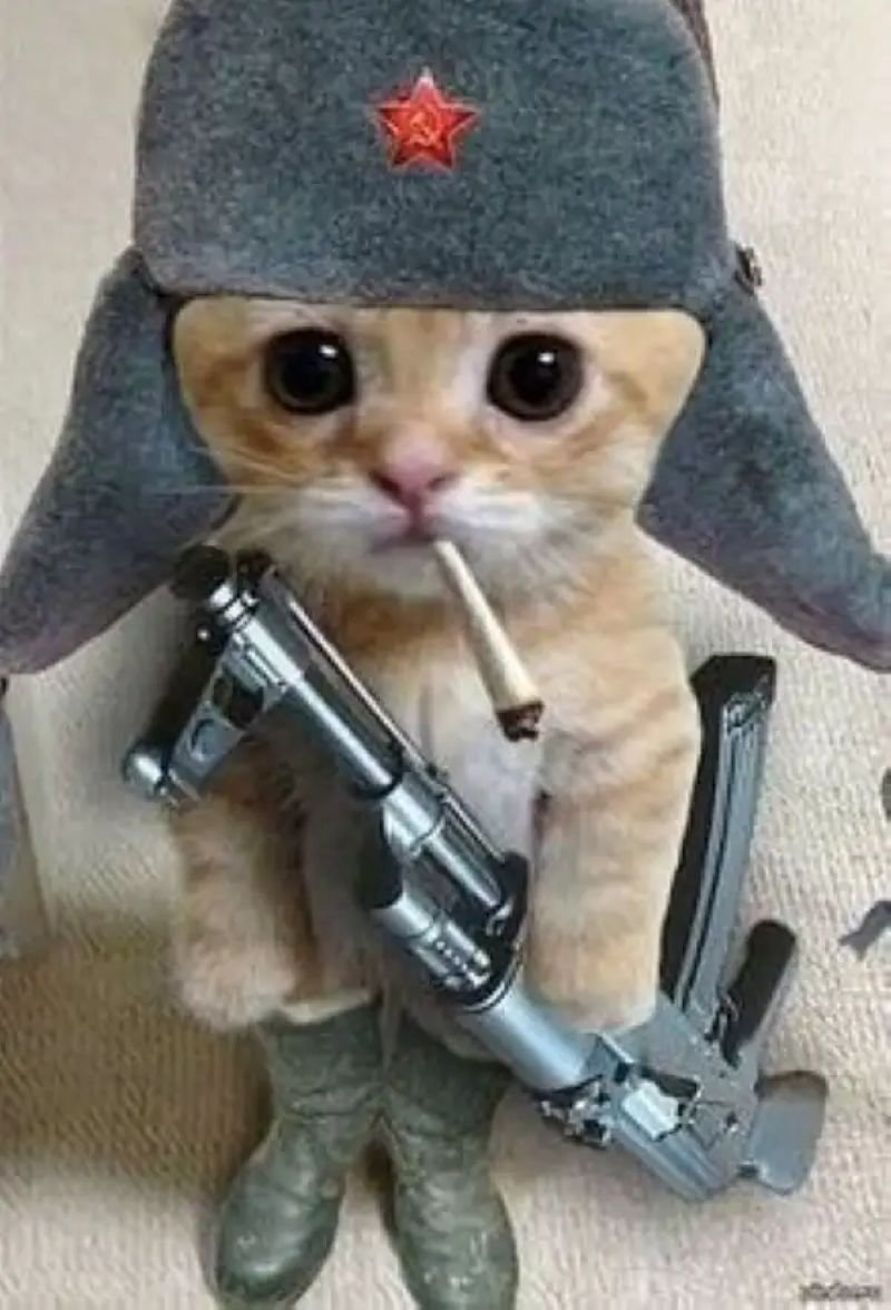 meme bắn súng biểu cảm siêu hài