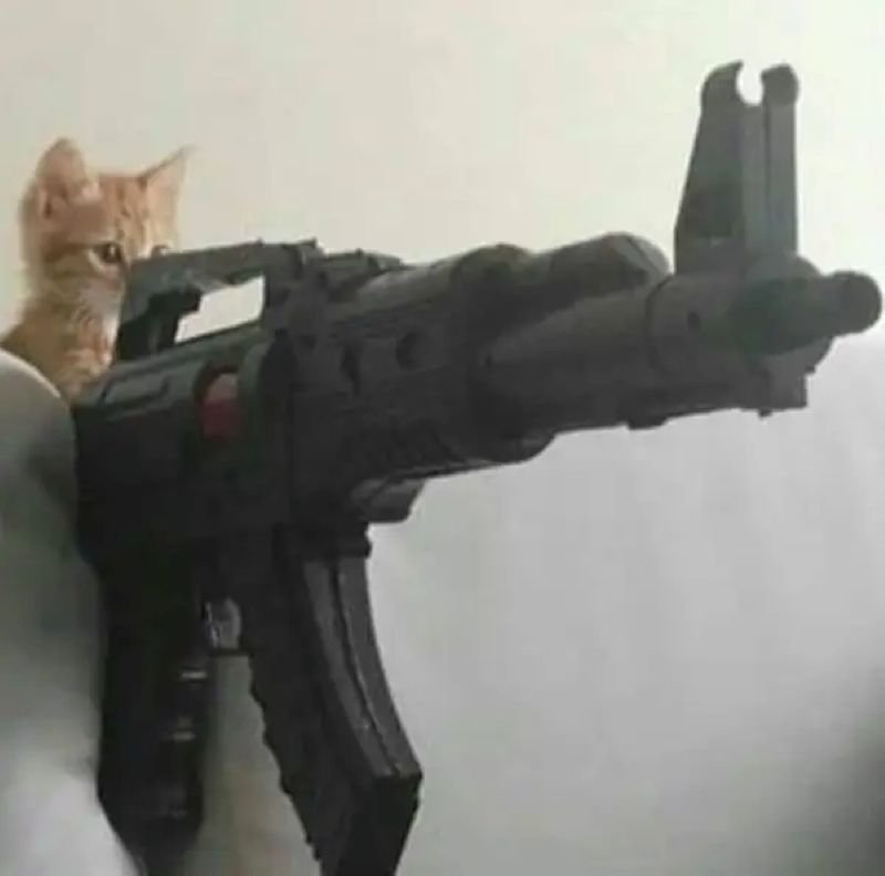 meme bắn súng cực kỳ bá đạo
