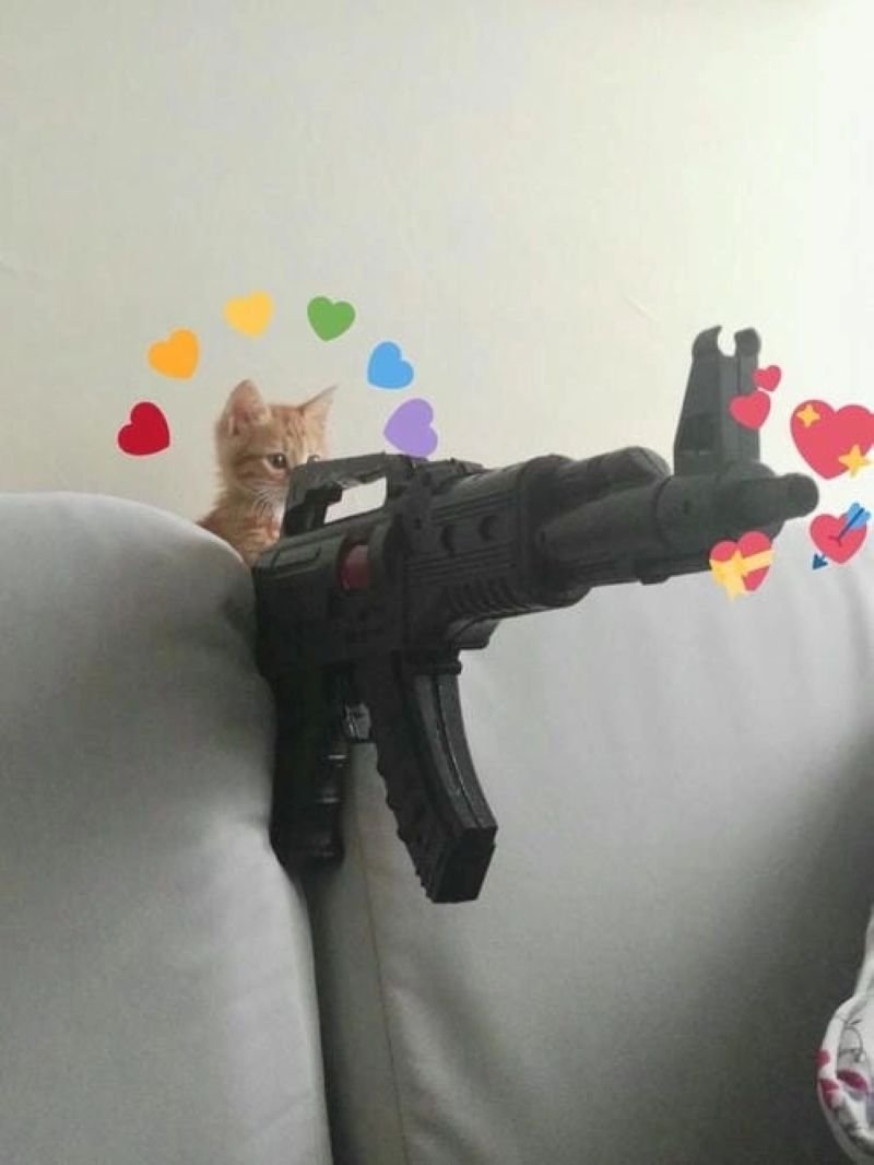 meme bắn súng hài hước khó đỡ