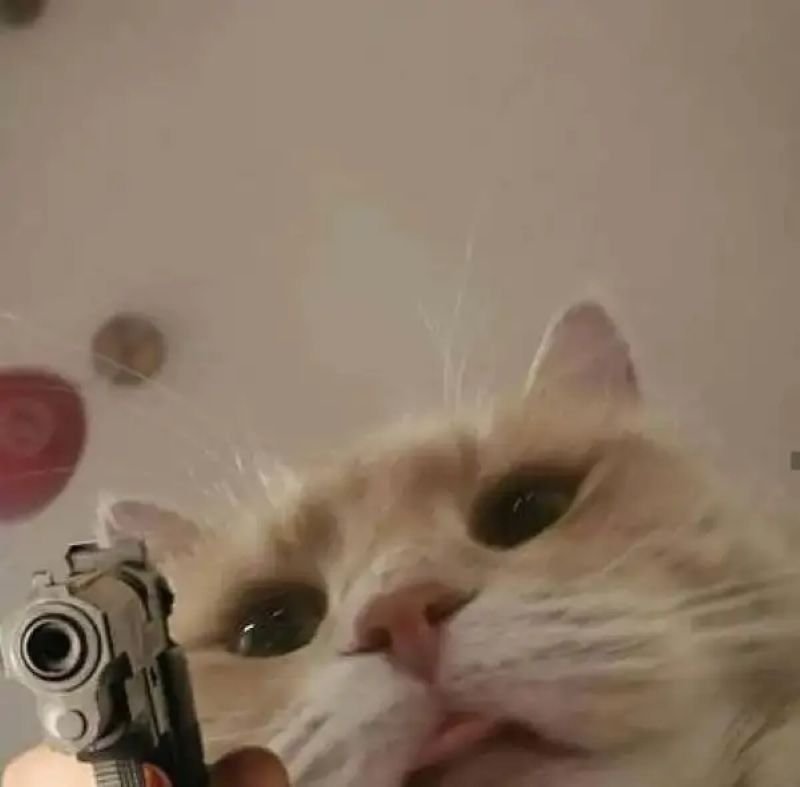 meme bắn súng khiến ai cũng cười