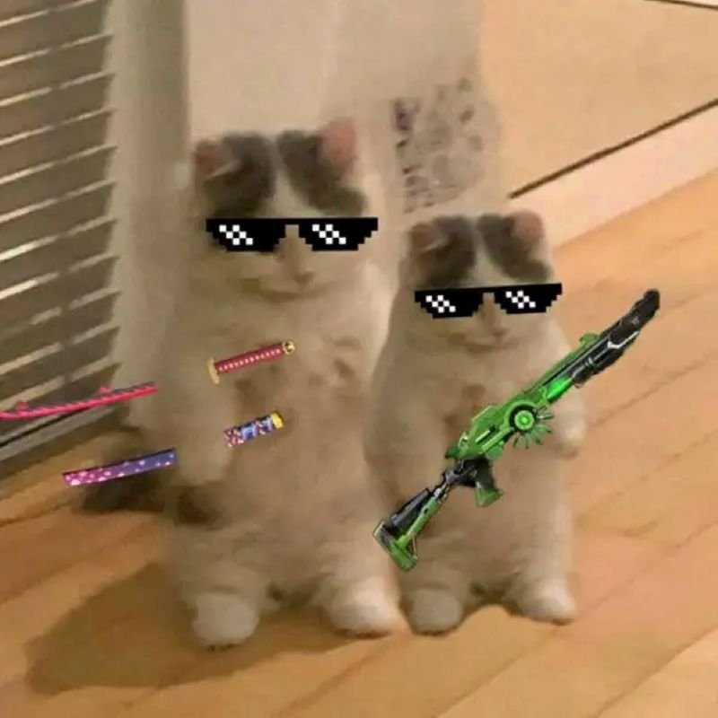 meme bắn súng nhìn là muốn cười
