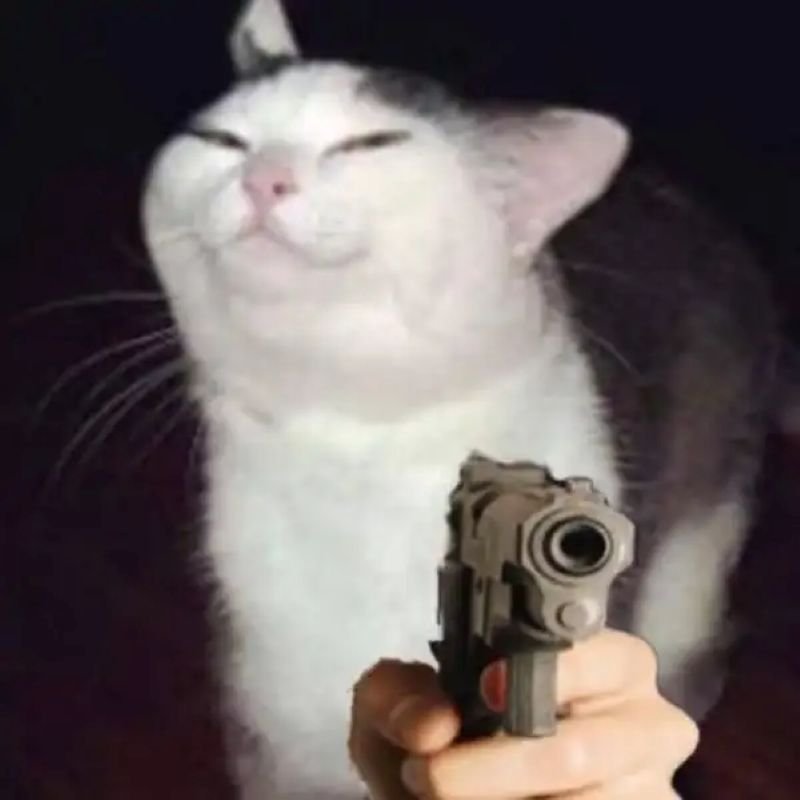 meme bắn súng phong cách troll độc đáo