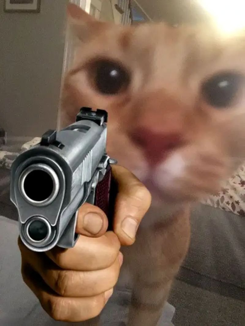 meme bắn súng tình huống cực khó đỡ