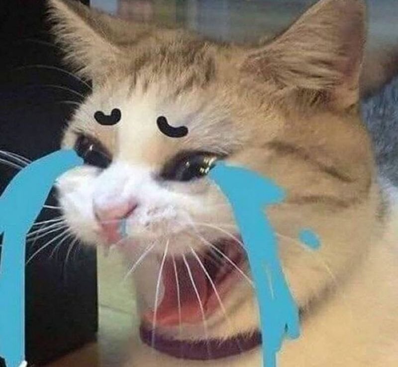 meme bất lực khiến dân mạng thích thú