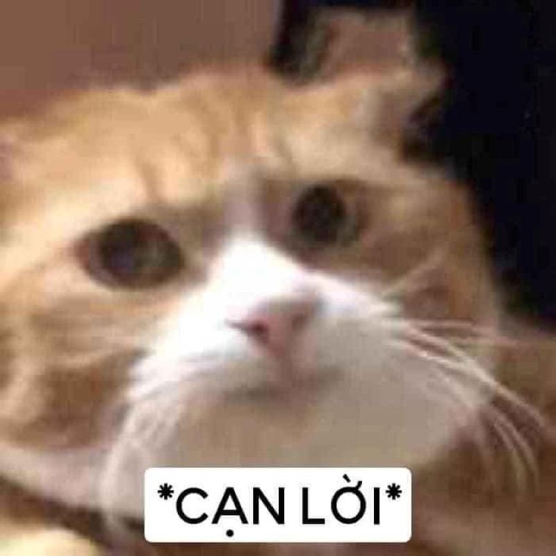 meme bất lực trước những pha đi vào lòng