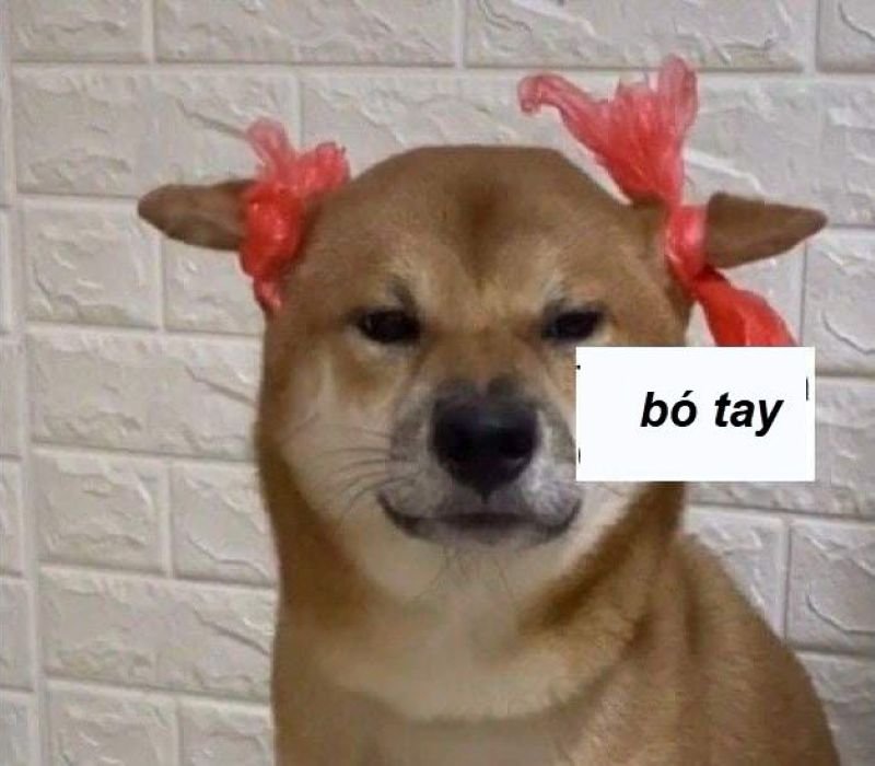 meme bất lực trước những pha khó đỡ