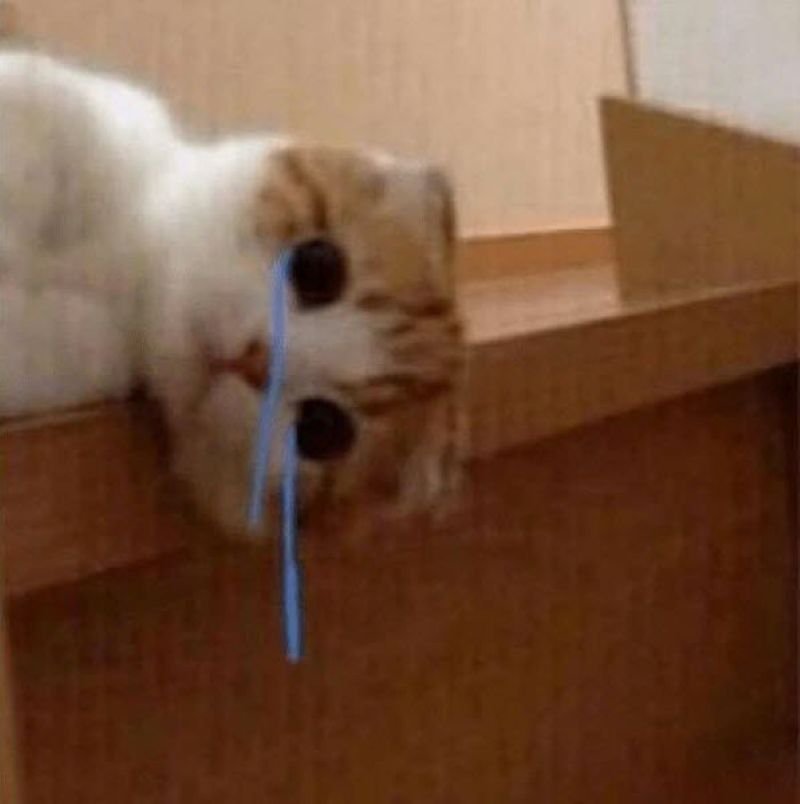 meme bất lực trước tình huống éo le