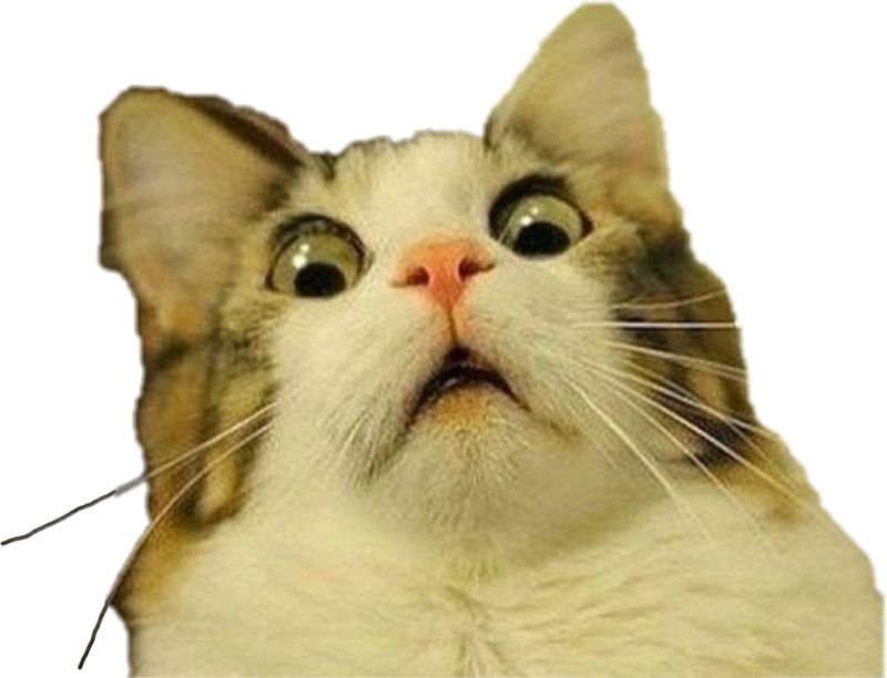 meme bất ngờ biểu cảm cực hài hước