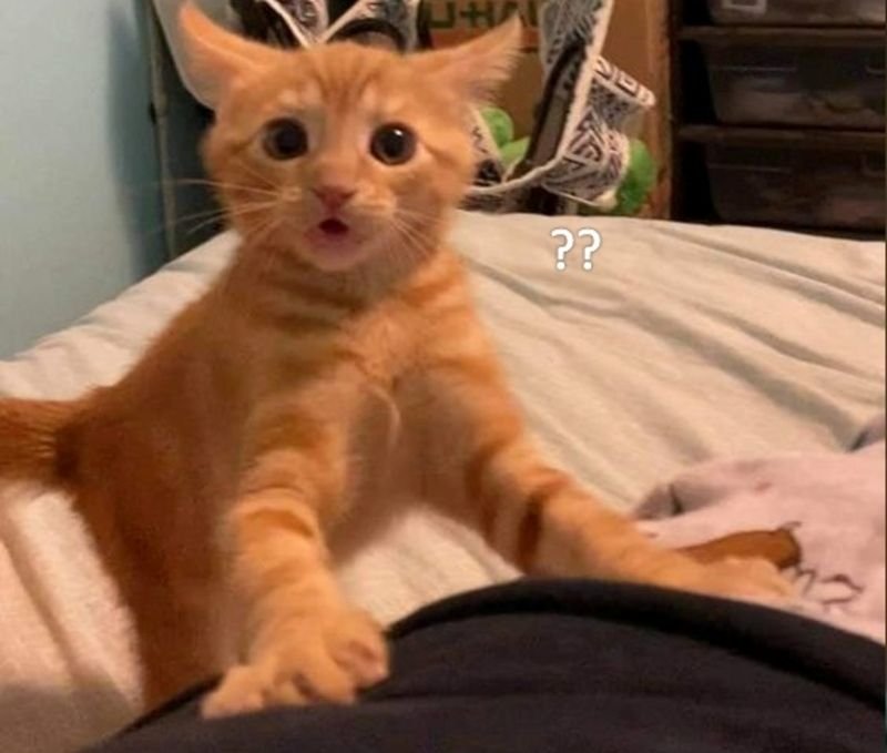 meme bất ngờ hài hước xem là ghiền