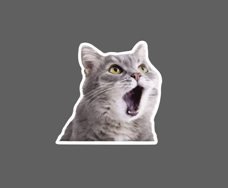 meme bất ngờ khiến ai cũng sốc