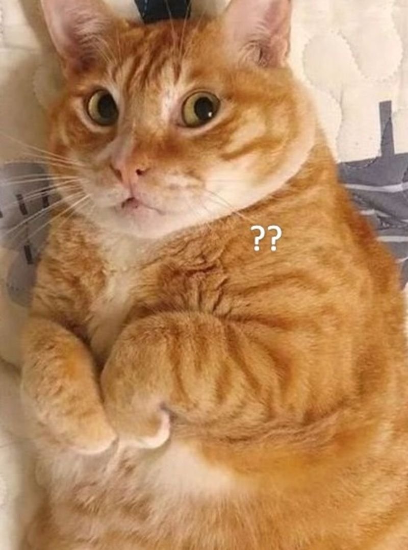 meme bất ngờ với gương mặt ngỡ ngàng