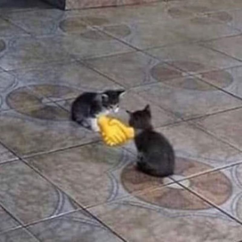 meme bắt tay chất lừ khiến ai cũng cười