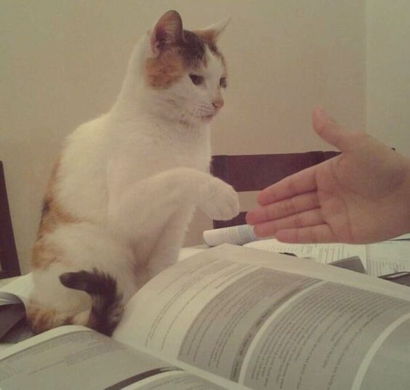 meme bắt tay cực kỳ hài hước và thú vị