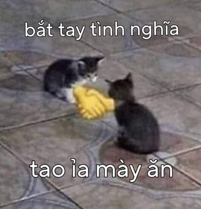 meme bắt tay hài hước đầy sáng tạo