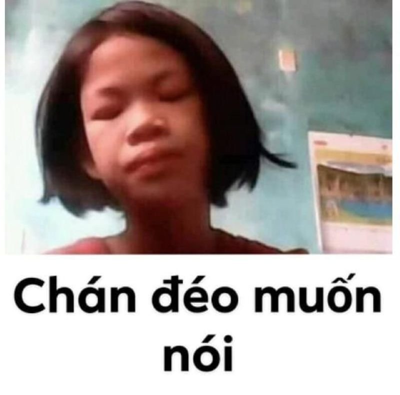 meme biến mất hài hước cực viral