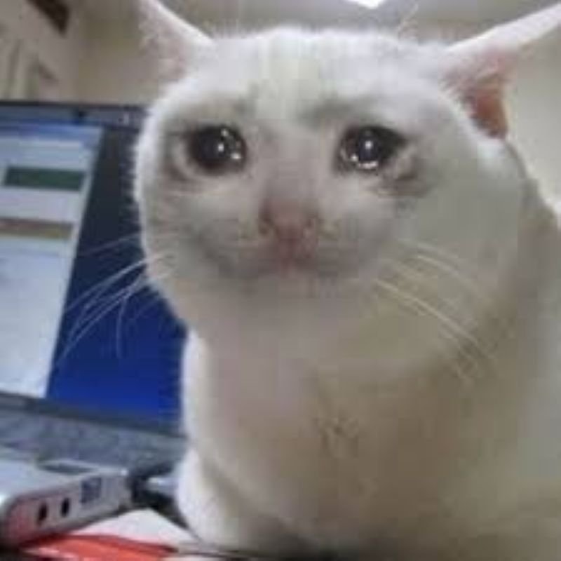 meme biến mất hài hước khó tin
