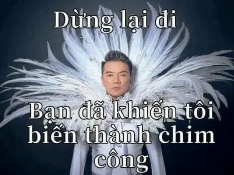 meme bựa chất lượng cao cực hài meme bựa chất lượng cao cực hài