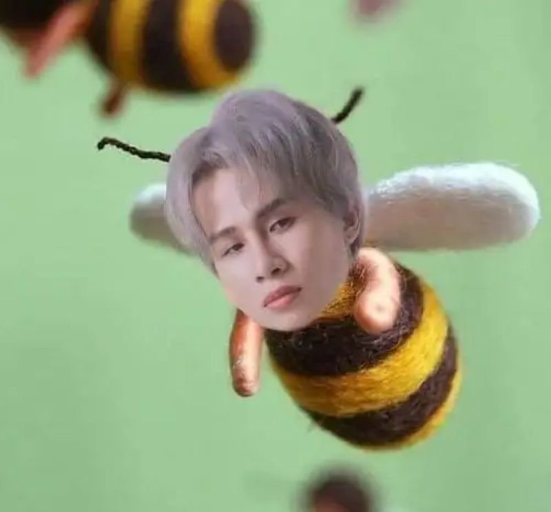 meme bựa cực lầy khiến bạn bật cười meme bựa cực lầy khiến bạn bật cười