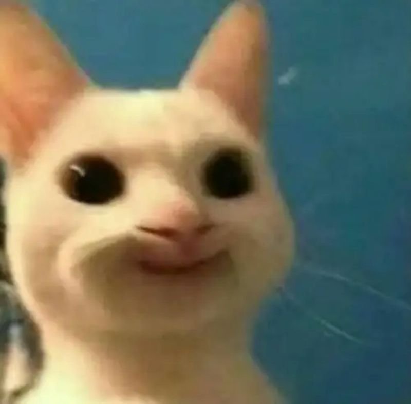 meme bựa cười banh nóc cực mạnh meme bựa cười banh nóc cực mạnh
