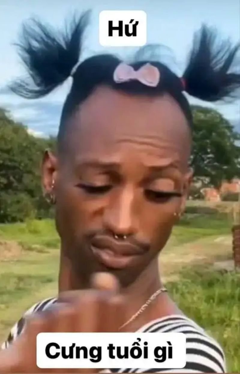 meme bựa hài hước khiến bạn cười lớn meme bựa hài hước khiến bạn cười lớn