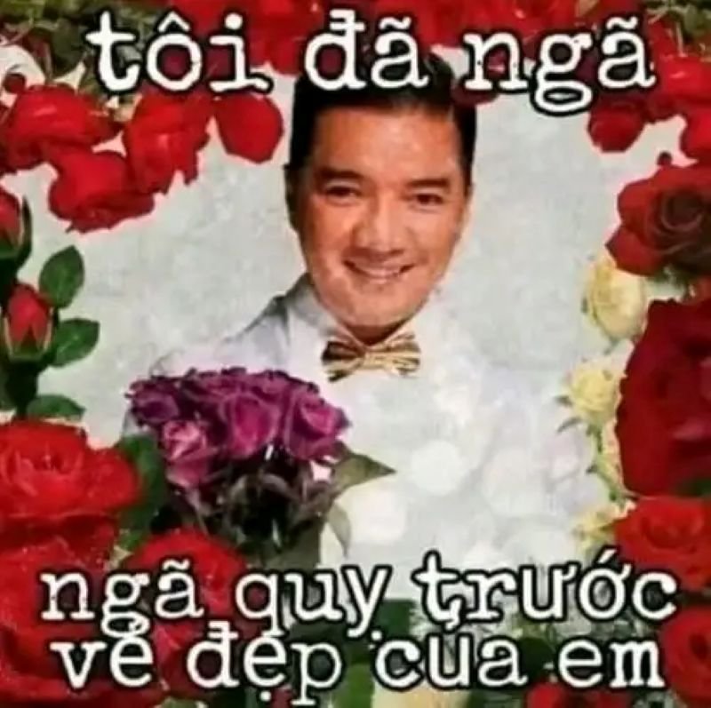 meme bựa hài hước khó đỡ nhất meme bựa hài hước khó đỡ nhất