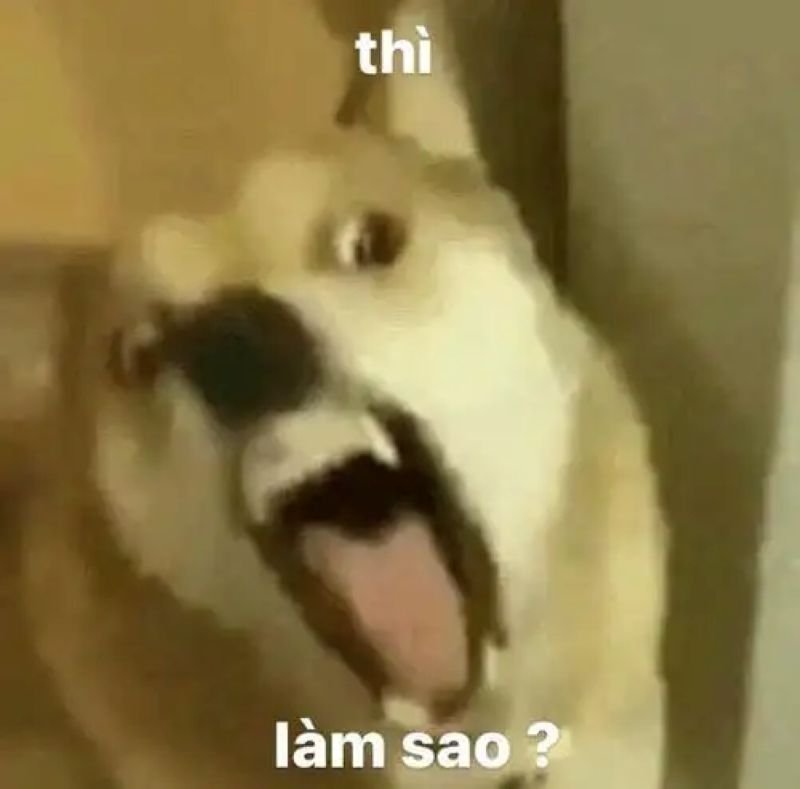 meme bựa lầy lội khiến dân mạng phát cuồng meme bựa lầy lội khiến dân mạng phát cuồng