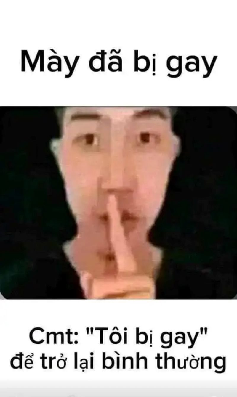 meme bựa trending được chia sẻ nhiều meme bựa trending được chia sẻ nhiều