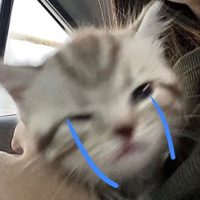 meme buồn cho trái tim tổn thương
