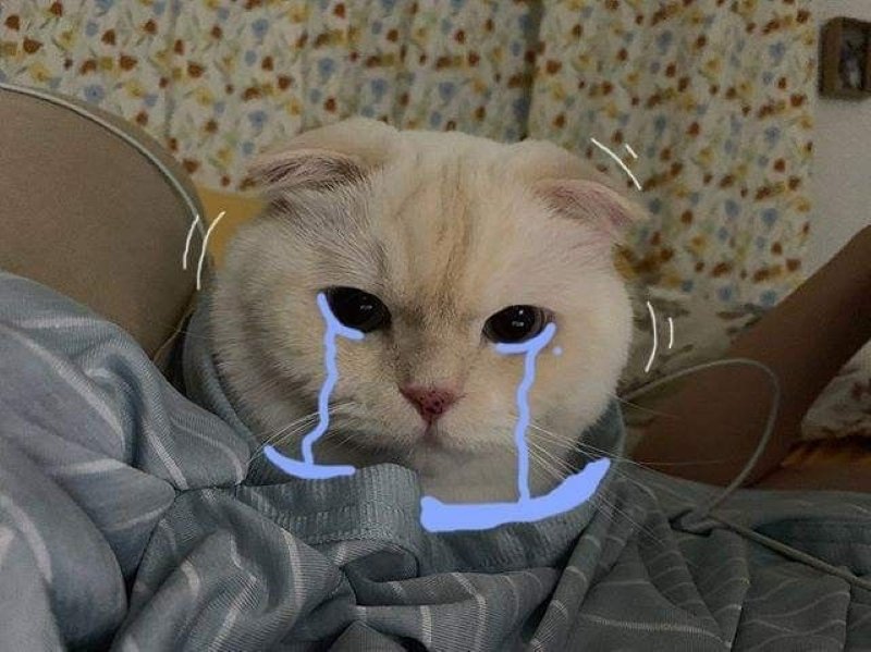 meme buồn cực chill đầy tâm trạng