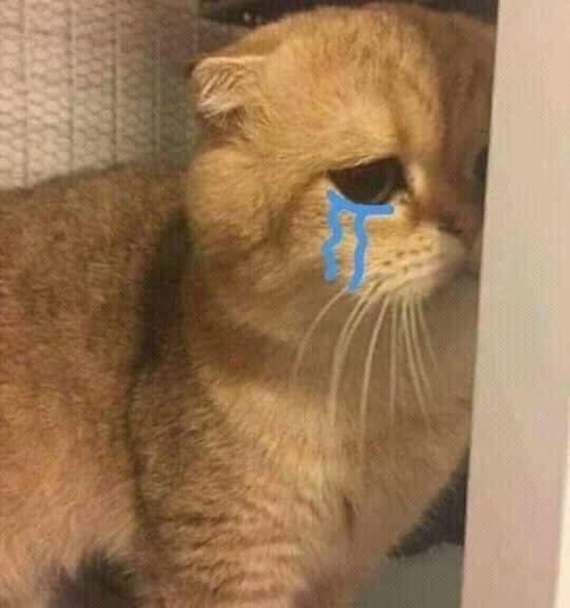 meme buồn cực sâu sắc và thấm