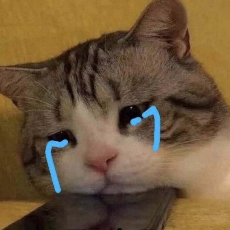 meme buồn cực thấm hiện tại