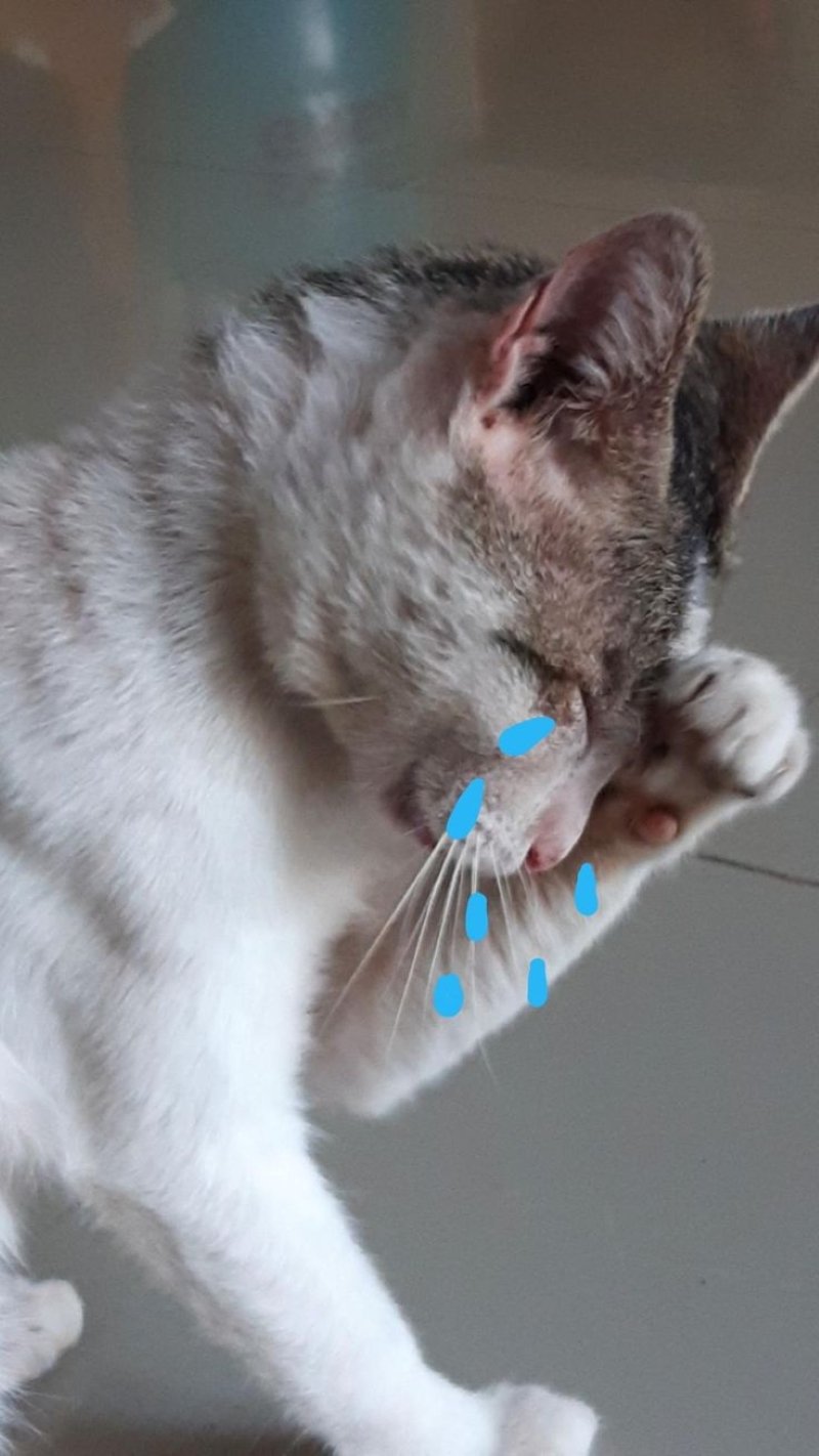 meme buồn dành cho ngày mưa