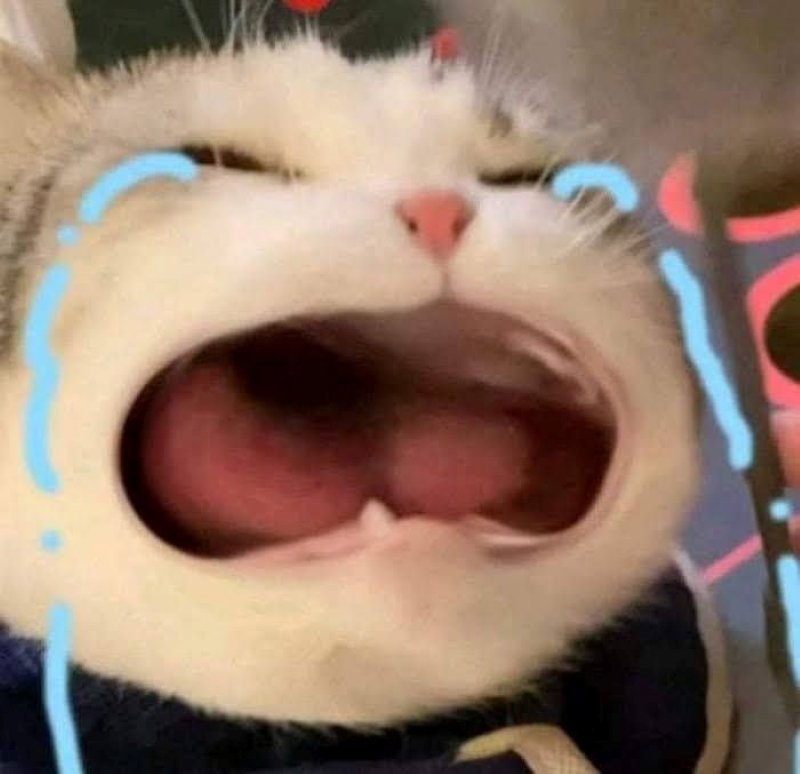 meme buồn dành cho người thất tình