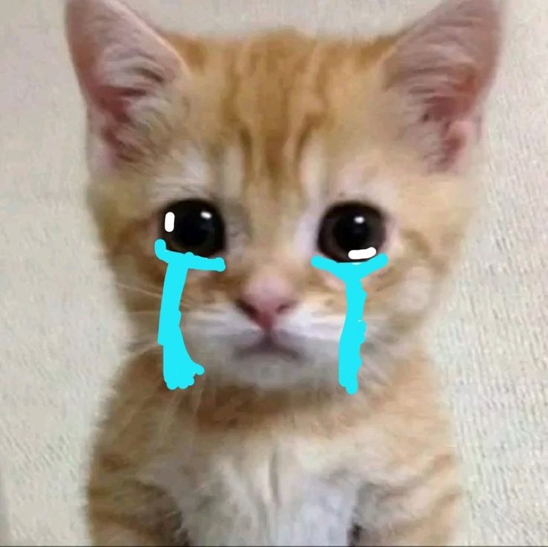 meme buồn khi mọi thứ thay đổi