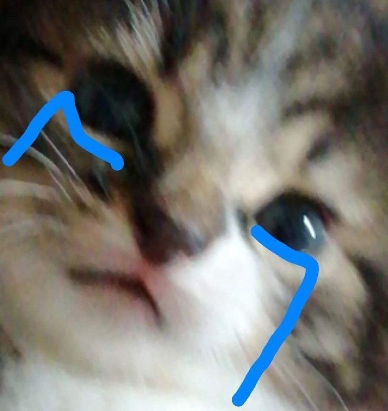 meme buồn khi nhớ người yêu cũ