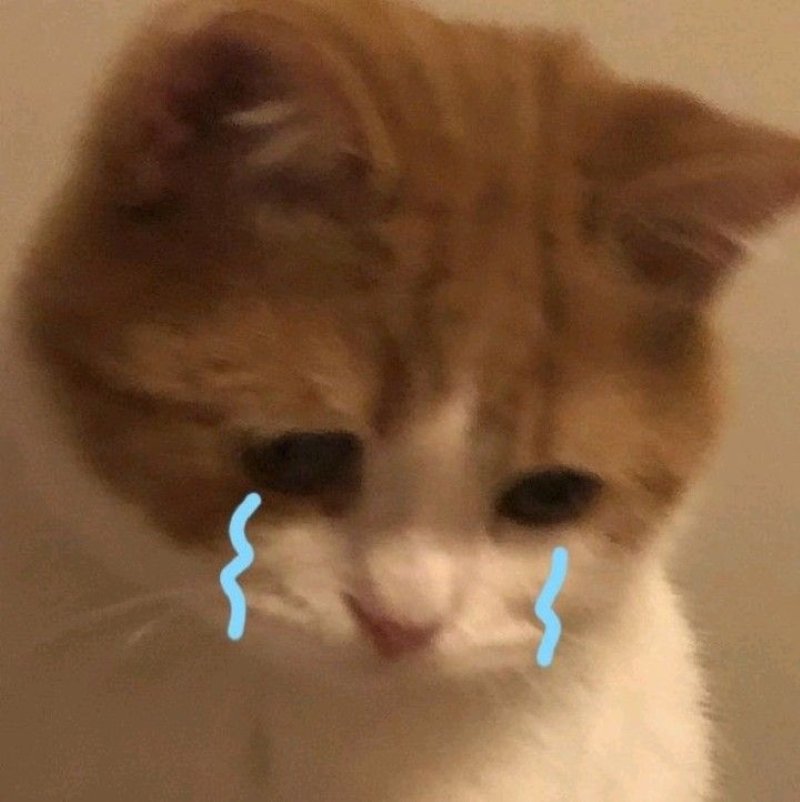 meme buồn mang cảm giác trống rỗng