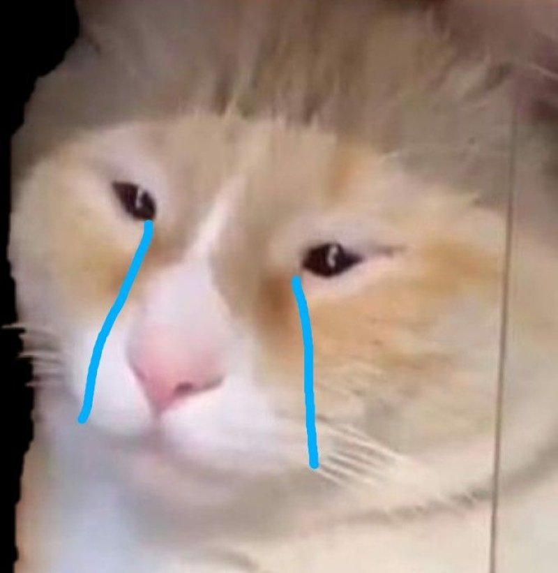meme buồn nhìn là thấy đau