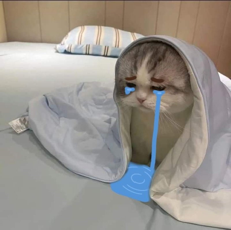 meme buồn nhìn mà muốn khóc