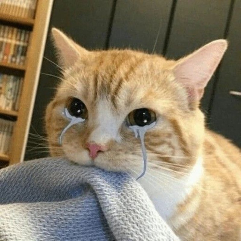 meme buồn nhìn phát hiểu ngay