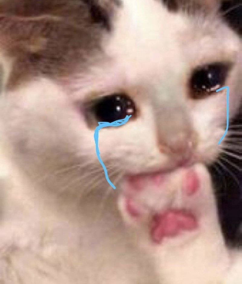 meme buồn tâm trạng cô đơn