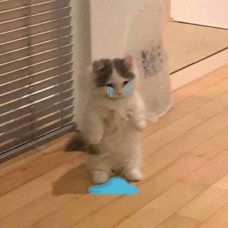 meme buồn tâm trạng giữa đêm